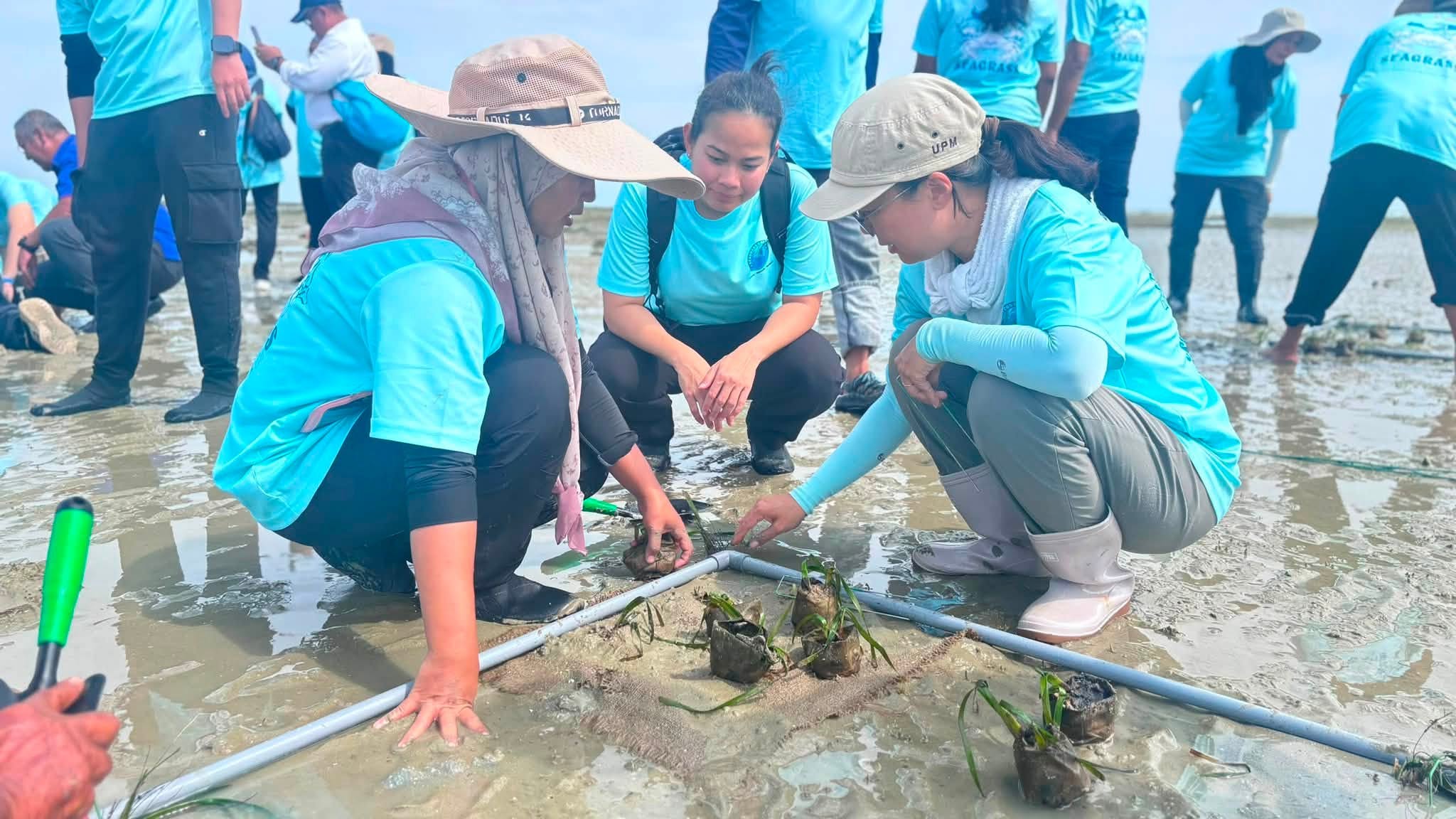 JULY 2026 - I-AQUAS UPM and Aquawalk Group Strengthen Seagrass and Blue Swimming Crab Conservation Efforts in Pulau Besar
